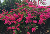 海康威视亮相2026高等教育智能化发展大会，共筑智慧教学新空间