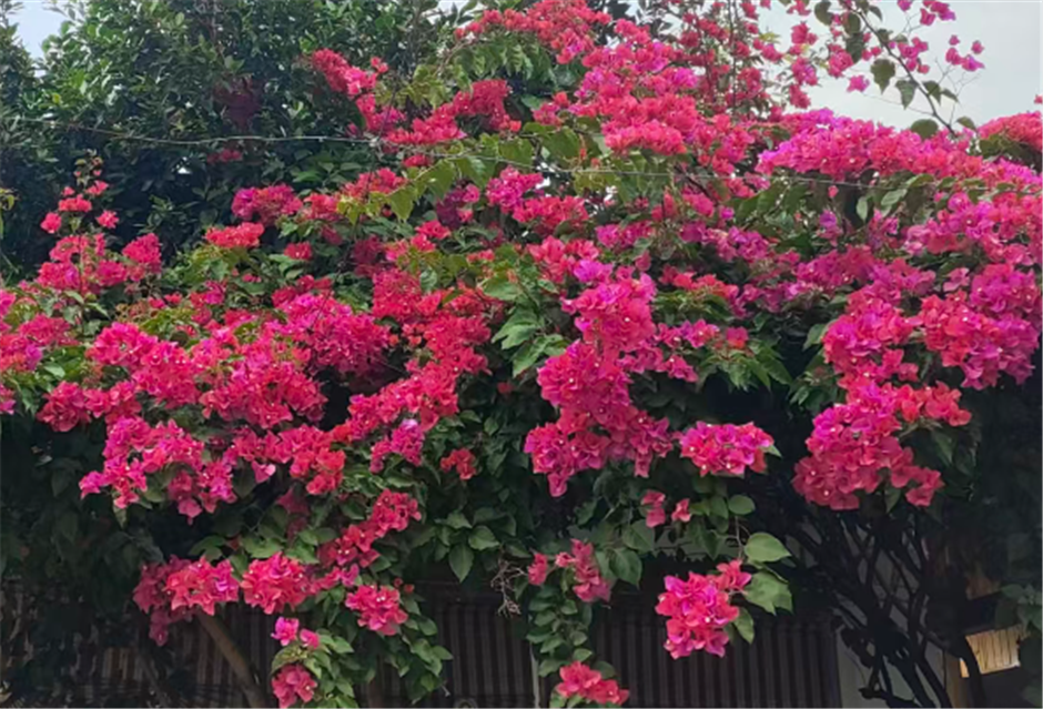 海康威视亮相2026高等教育智能化发展大会，共筑智慧教学新空间