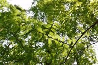 博立尔化工（扬州）有限公司荣获EcoVadis可持续评估银牌