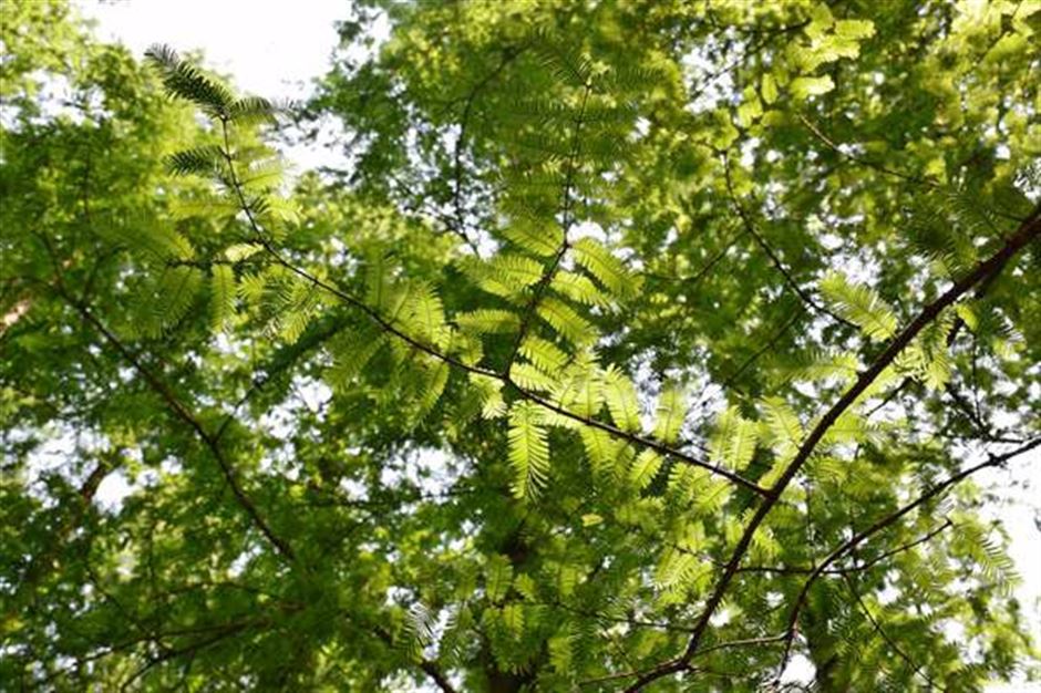 博立尔化工（扬州）有限公司荣获EcoVadis可持续评估银牌